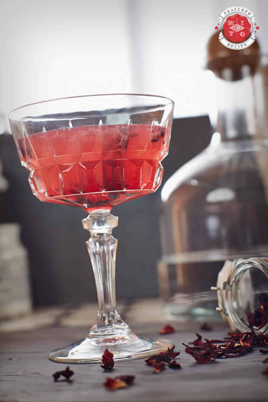 Ever the Optimist Everclear