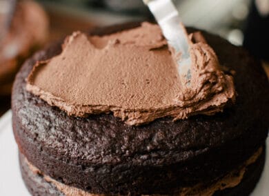 Mocha Chocolate Cake